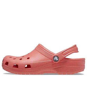 Crocs Classic Clog „Neonowy arbuz” 10001-6VT